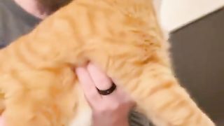 funny  funnyvideo  funnyvideos