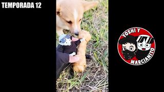FUNNY COMPILATION #1