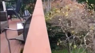 Cute Pets ???? | Funny Cats and Dogs Videos ???????? | Best Compilation 2023 ???? March # 16
