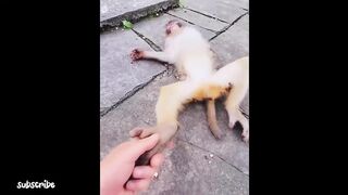 Funniest fails moments of the week ????????Compilation (Try not to laugh)
