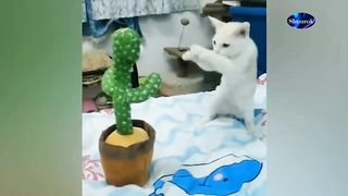 The funniest animals / Fun with cats and dogs 2023 / LA #25