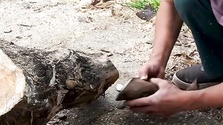 Woodworking Idea For Tree Stump