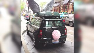 Easter Car Decor Ideas to Make Your Ride Festive