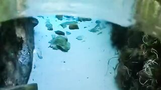Precisa Conhecer