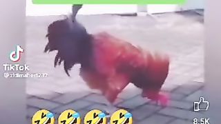 Funny video ???????? 4
