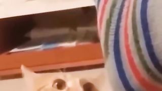 Funniest Videos 2023 ???? Funny Cats ????