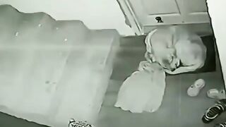 Real camera security Leopard Attack Dog????????????