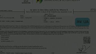 Am.I.Next.480p.ZEE5.WEB new movie