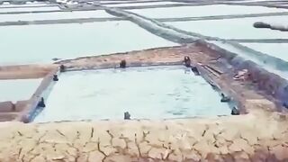 Amazing video 6