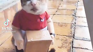 Paket