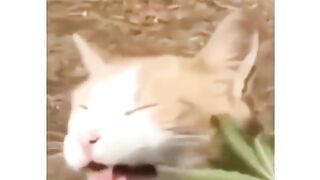 Hhhhh 2