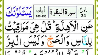 Surah Al Baqarah Ruku 24 _ Beautiful Panipatti Tilawat _ Surah Baqarah 189-196 (1).