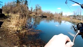 2023 new / Our First Catch And Cook (Big Fish Catch)