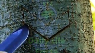 How to make a mask with a bandana into 5
