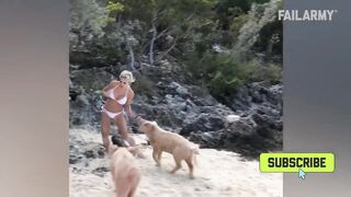 When Animals Go Crazy | Funny Wild Animals Fails 2023