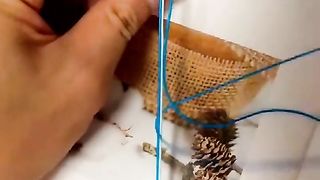 creative 5