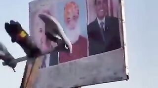 Auto lannat machine