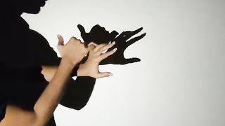 Hand shadow 2