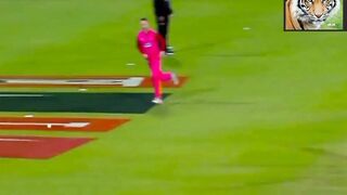 Babar Azam cover drive 2
