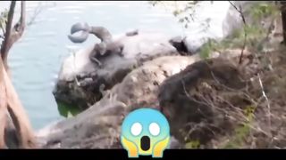 C'est vrais ?