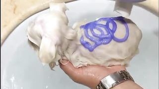 cute puppy 2