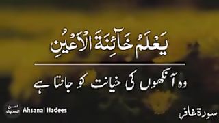quran urdu _ islamic whatsapp st_144p. plz subscribe and watch my channel