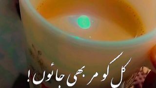 Tea lover 3