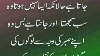 quotes channel 5