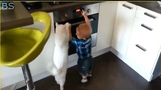 25 Hero Animals That Saved Human Lives 2023