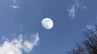 March 4 2022 Moon Crash Phenomena