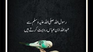 Naiki ka badla