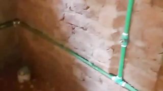 Motorer line tanar poddoti