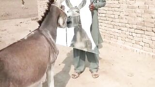 new accunt  viral   funny video