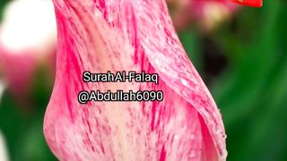 Surah Al-Falaq With Urdu translate