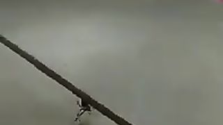 spiders WHICH ALWAYS COME TO OUR HOUSE