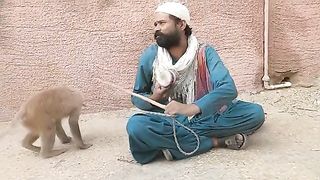 Bandar ka dance