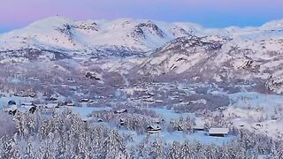 Winter Beauty