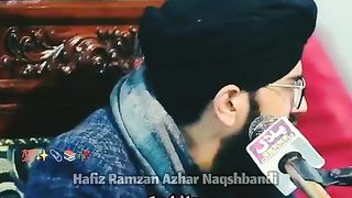 Beautiful lines 3