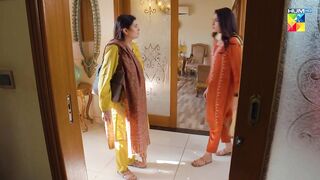 Mere Damad - Episode 46