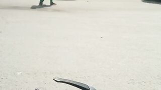 the best sportsbike in world