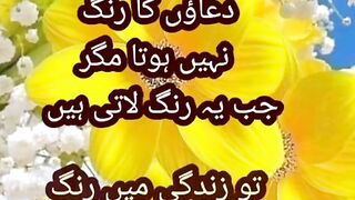 pray is heart peace
