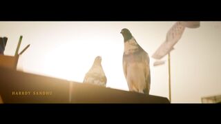 Titliaan Warga | Harrdy Sandhu ft Jaani | Sargun Mehta | Arvindr Khaira | Avvy Sra | Desi Melodies