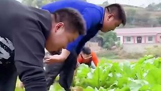 Everybody works together to make a delicious meal