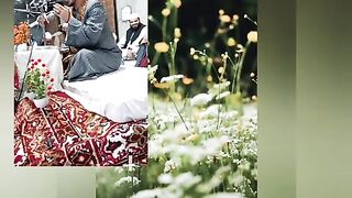 Tilawat Quraan