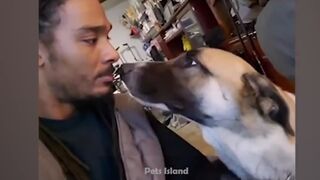 Don't Laugh Too Much At This Angry Dog | Funniest Dogs Reaction | 2023