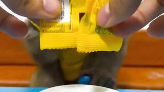 monkey video monkey #febspot