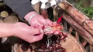 Unique Food