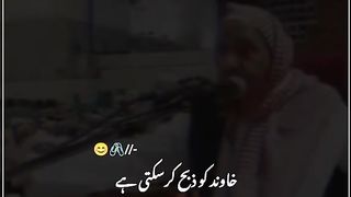 Funny 58