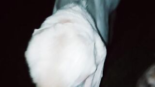 گوٹھ for#