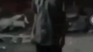 Best funny video 4